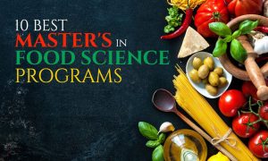 The Best Master’s in Food Science Programs
