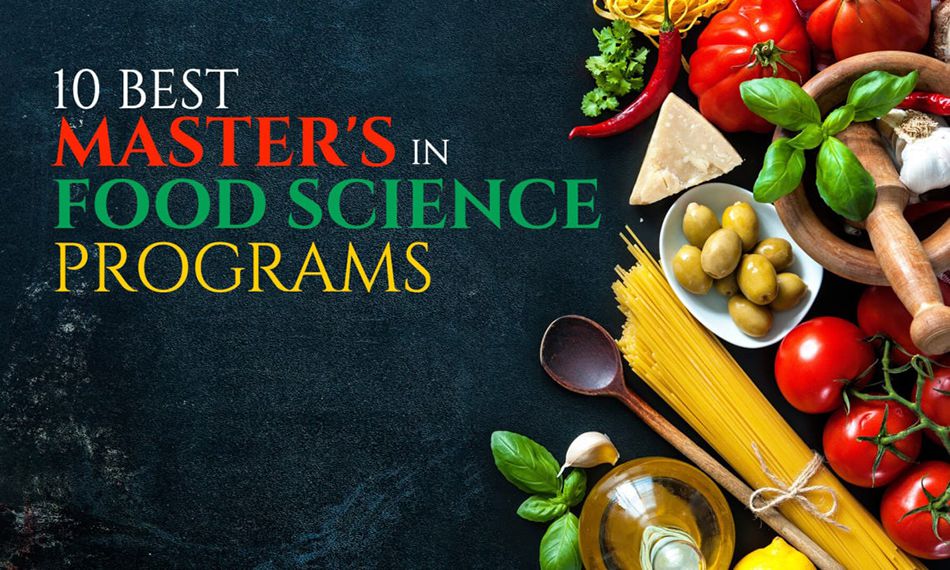 The Best Master s In Food Science Programs Successful Student