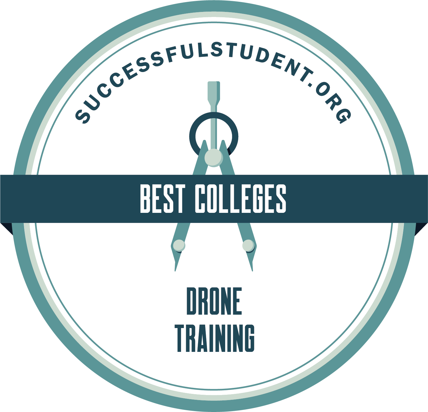 The Best Drone Training Colleges's Badge