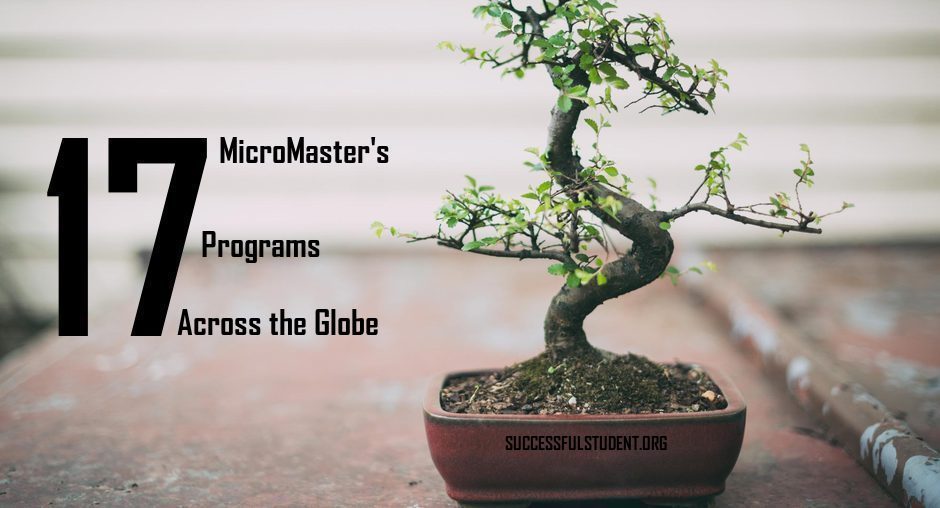 Best MicroMaster's Around the Globe