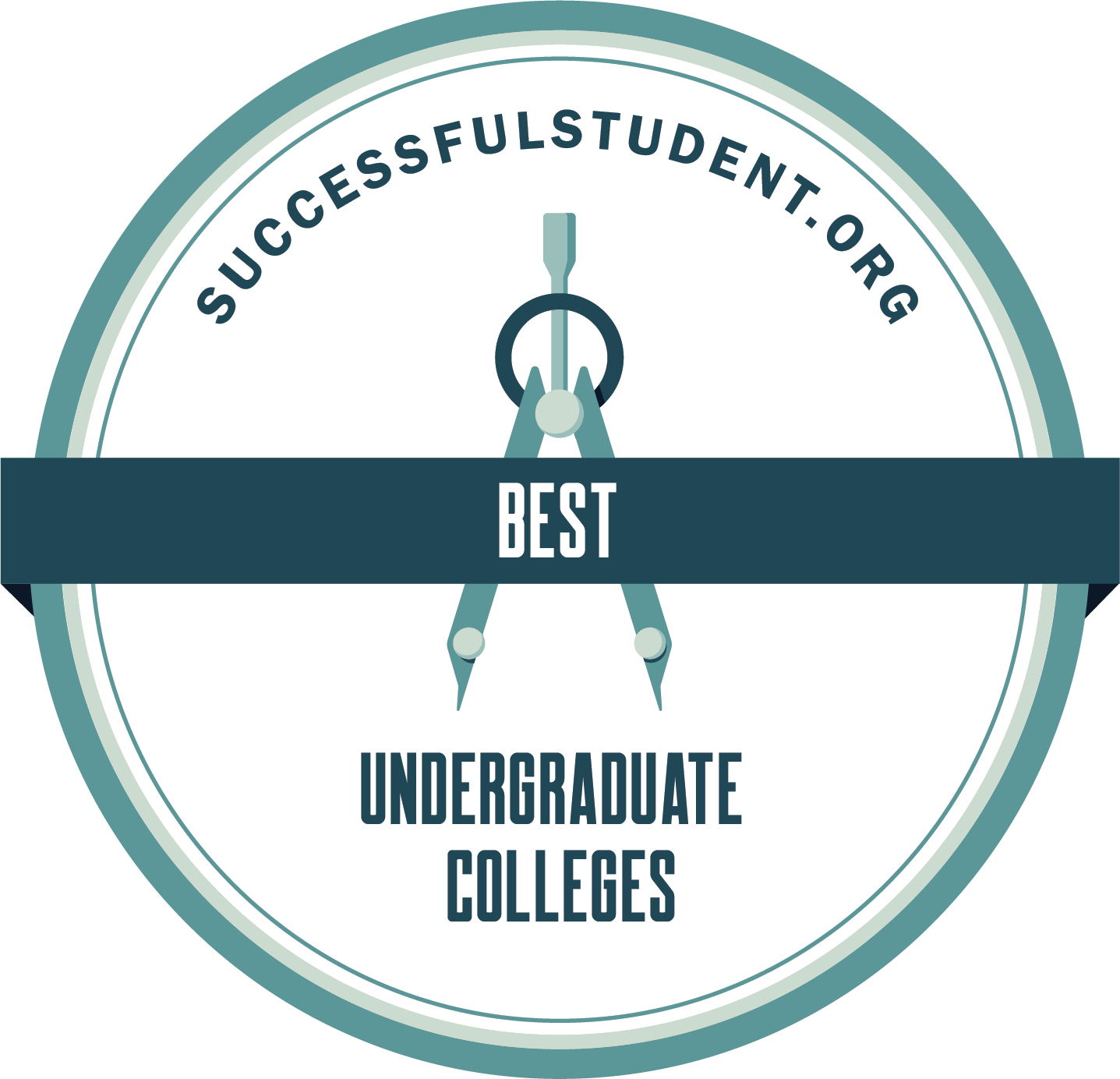 The 20 Best Undergraduate Colleges's Badge