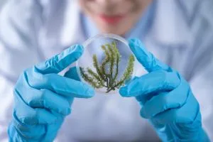 The 10 Best Biology PhD Programs