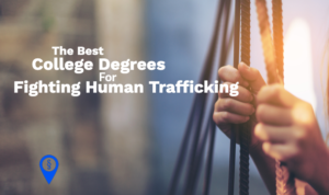 The Best College Degrees for Fighting Human Trafficking