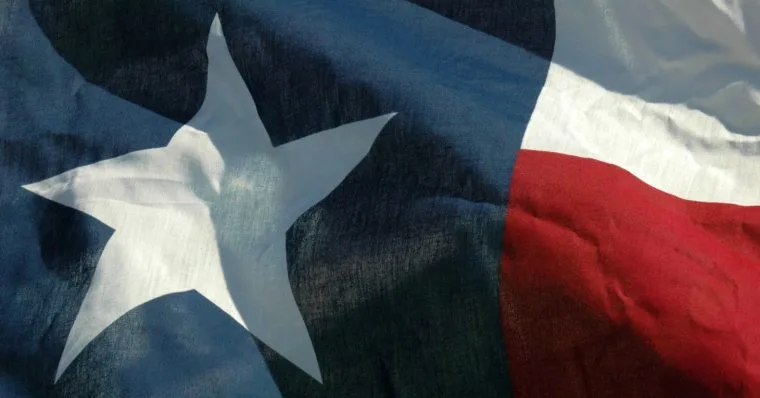Texas Flag