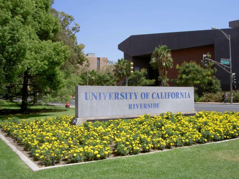 University of California Riverside