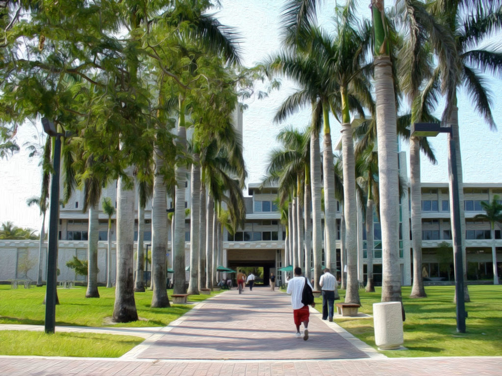 University of Miami