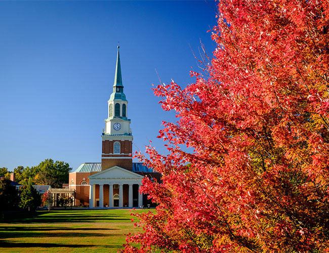 Wake Forest University