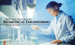 The 10 Best Bachelor's in Biomedical Engineering Degree Programs