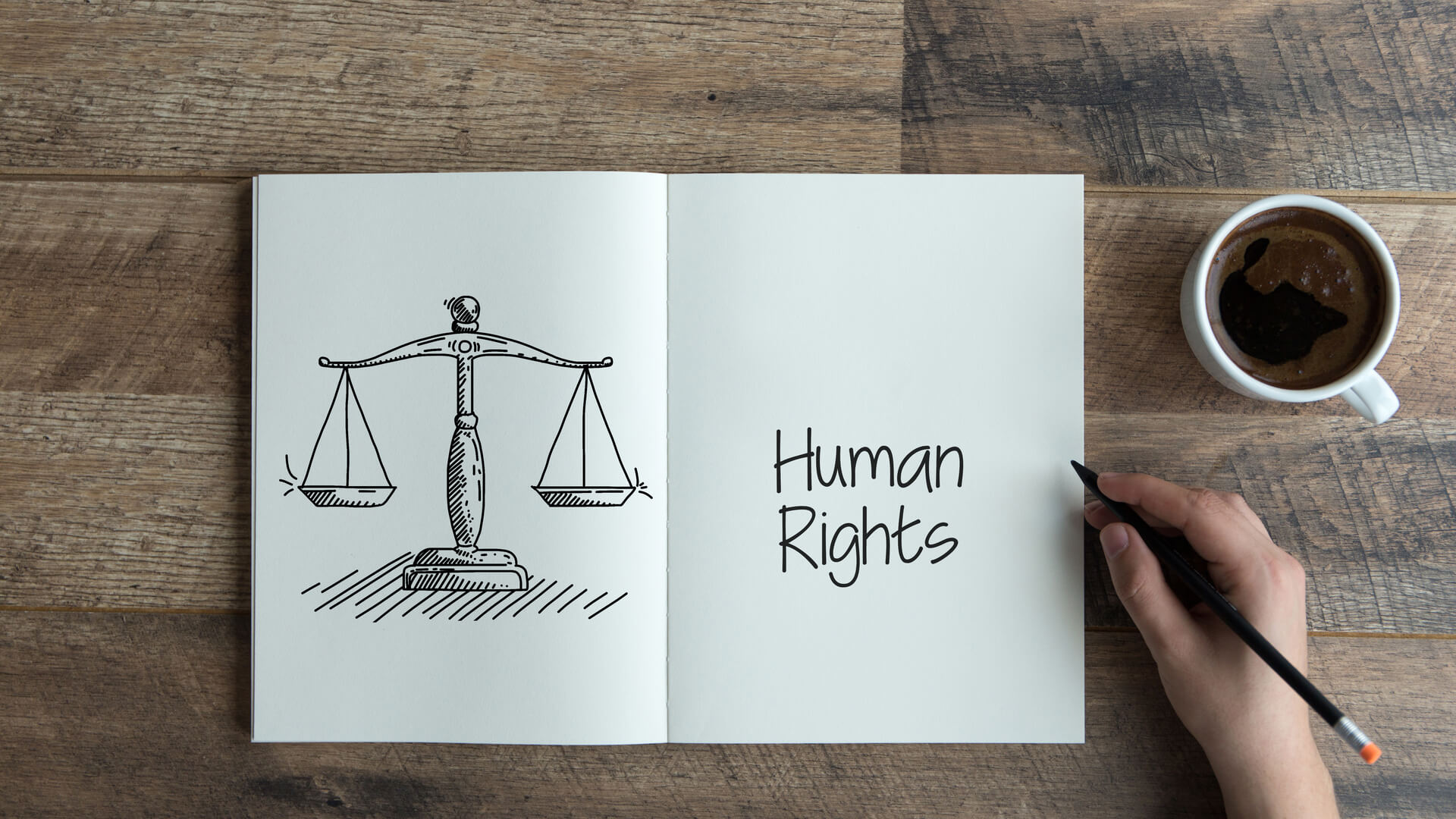 Human Rights Studies