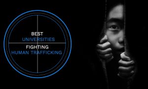 The Best Universities Fighting Human Trafficking